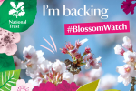 National Trust Blossom Watch graphic