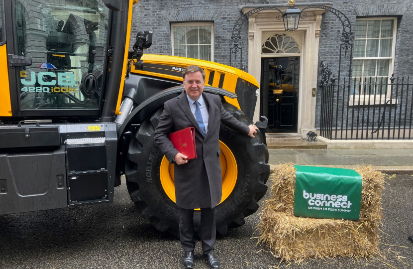 Mel Stride, MP for Central Devon, at Downing Street for the second annual food security summit.