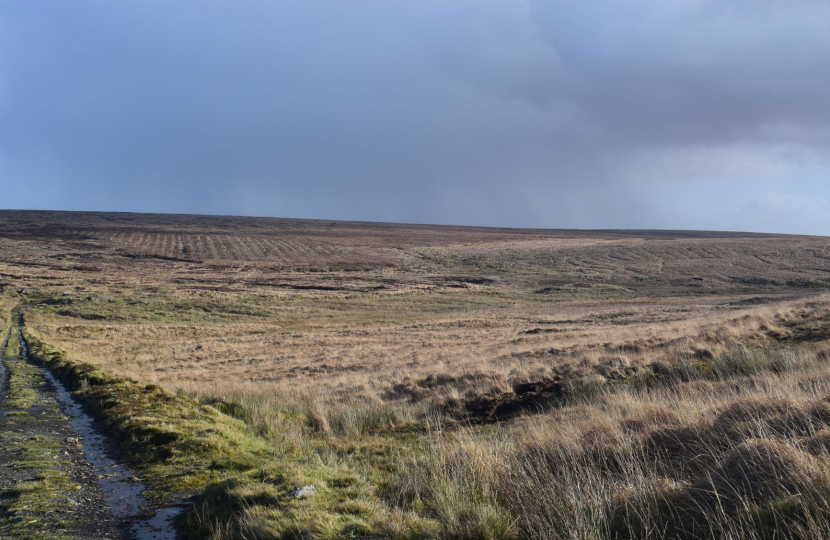 Dartmoor 